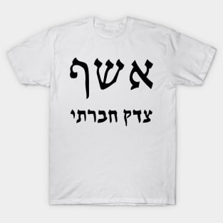 Social Justice Wizard (Hebrew) T-Shirt